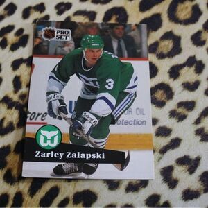 Zarley Zalapski #91 Hockey Card